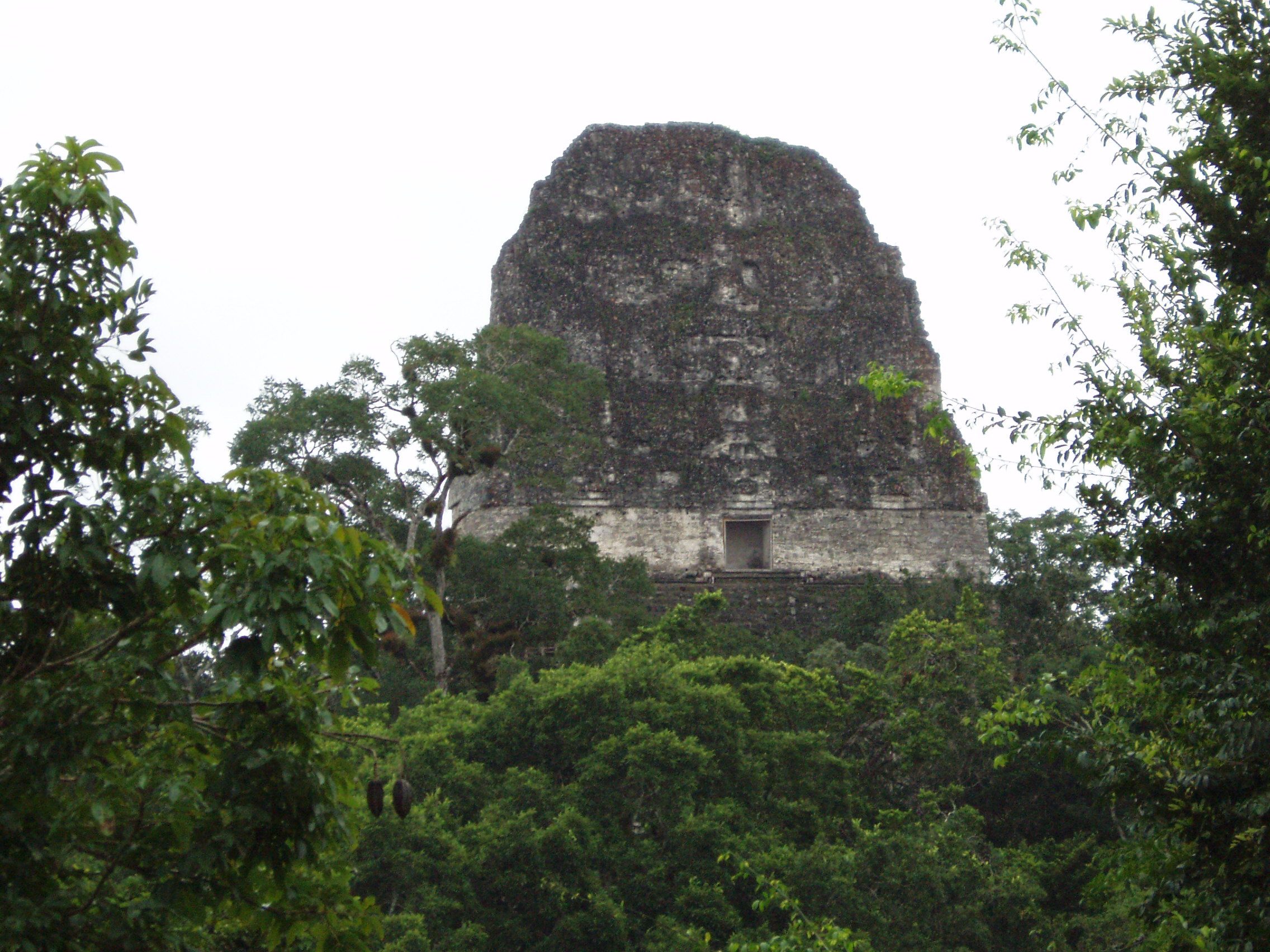 Mario Pöhland - Bücher aus den Gebieten Esoterik, Geheimwissen, Erich von Däniken Mario Pöhland - Bücher aus den Gebieten Esoterik, Geheimwissen, Erich von Däniken