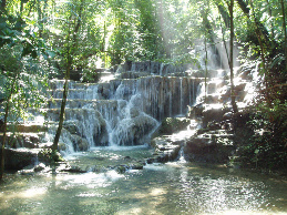 Bücher und Sammlerstücke zu Esoterik und Geheimwissen Bücher und Sammlerstücke zu Esoterik und Geheimwissen